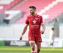 Scarlets plan to prosper through New Zealand link