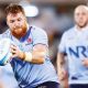Harry Johnson-Holmes in action for the Waratahs