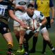 Henry Clement in action for Wasps