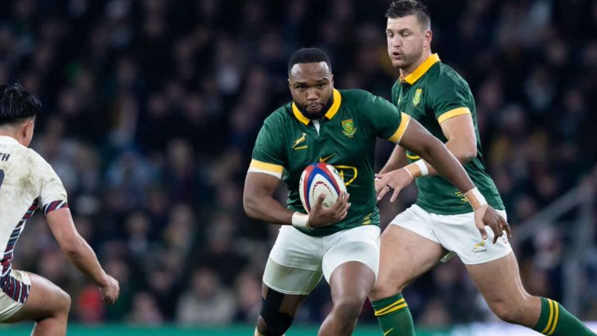 Springbok centre Lukhanyo Am