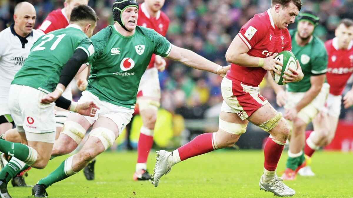 Taine Basham of Wales