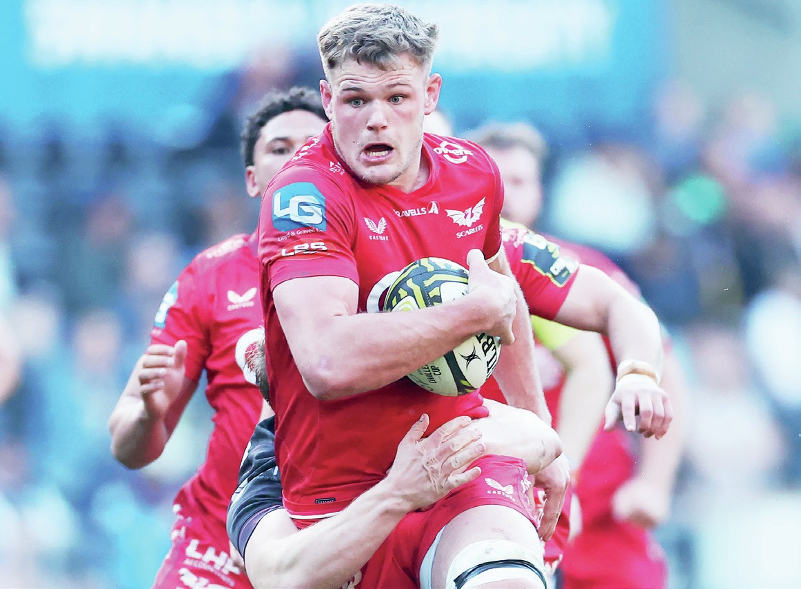 ‘Mongrel’ Plumtree