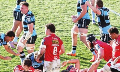 Cardiff celebrate at full-time